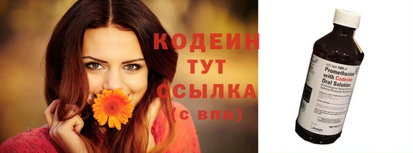 дмт Костерёво