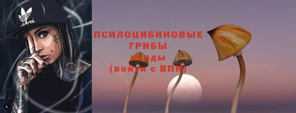 дмт Костерёво