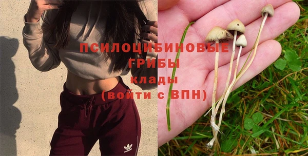 винт Корсаков