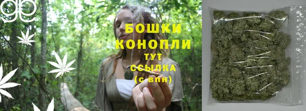 дмт Костерёво